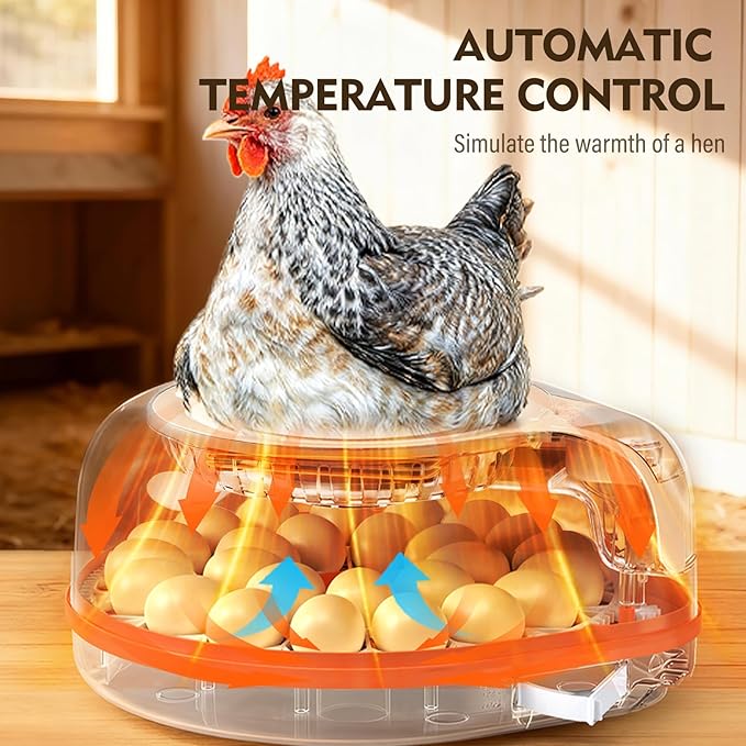 Incubators for Hatching Eggs 3 in 1 Fully Automatic Poultry Incubator Auto Temp and Humidity Control Auto Egg Turning 26 Eggs Capacity for Farm and Home Use Suitable for Chicken Duck Quail Eggs