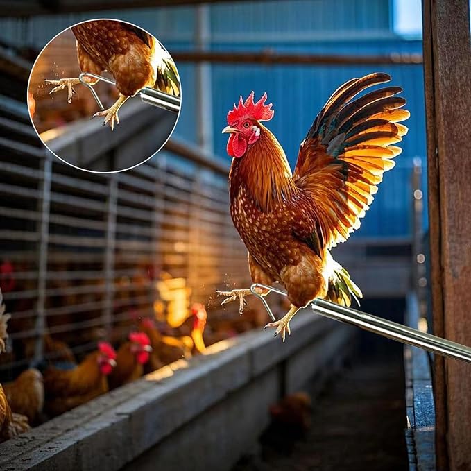 Chicken net Catcher Stainless Steel Poultry net, Ideal for catching Birds, Chickens, Ducks, Fish, Geese, etc. in Chicken coop or Outdoors, Fishing net with Handles(Including 2 nets and 1 Pole)