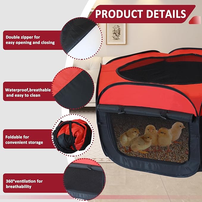 Chick Brooder Box, Foldable Chicken Brooder Box for Chicks, Pop-Up Baby Chicken Cage Supplies Brooding Up to 15 Baby Chick, Duck and Quail, Starter Kit with Storage Bag, Fixed Pegs, Waterproof Mat