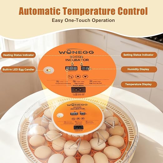 2nd Gen 30 Egg Incubator, Wide-Range Humidity with Manual Water Fill, Stable Temp Control, Dual-Size Egg Slots, Auto Egg Turning, Candler, Real-Time Display for Hatching Poultry Eggs