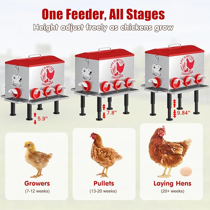 Pawaboo 55LBS Large Capacity Automatic Chicken Feeder - 2026 Upgraded No Waste Poultry Feeder, 7 Feeding Ports, Viewable Feed Level Window, Height-Adjustable Legs + Wobble-Free Stability
