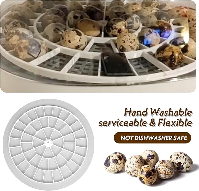 Small Quail/Bird Egg Trays for Nurture Right 360 Egg Incubator ，Small (Quail/Bird) - 48 Eggs