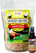 Healthy Greens Wheatgrass Scratch Feed & Fodder Seed, 1lb Bag. Premium Wheat Berries, Non-GMO Wheatgrass for Backyard Chickens, Plant Indoors/Outdoors. Also Ideal for Cats, Dogs w/Chick Fresh