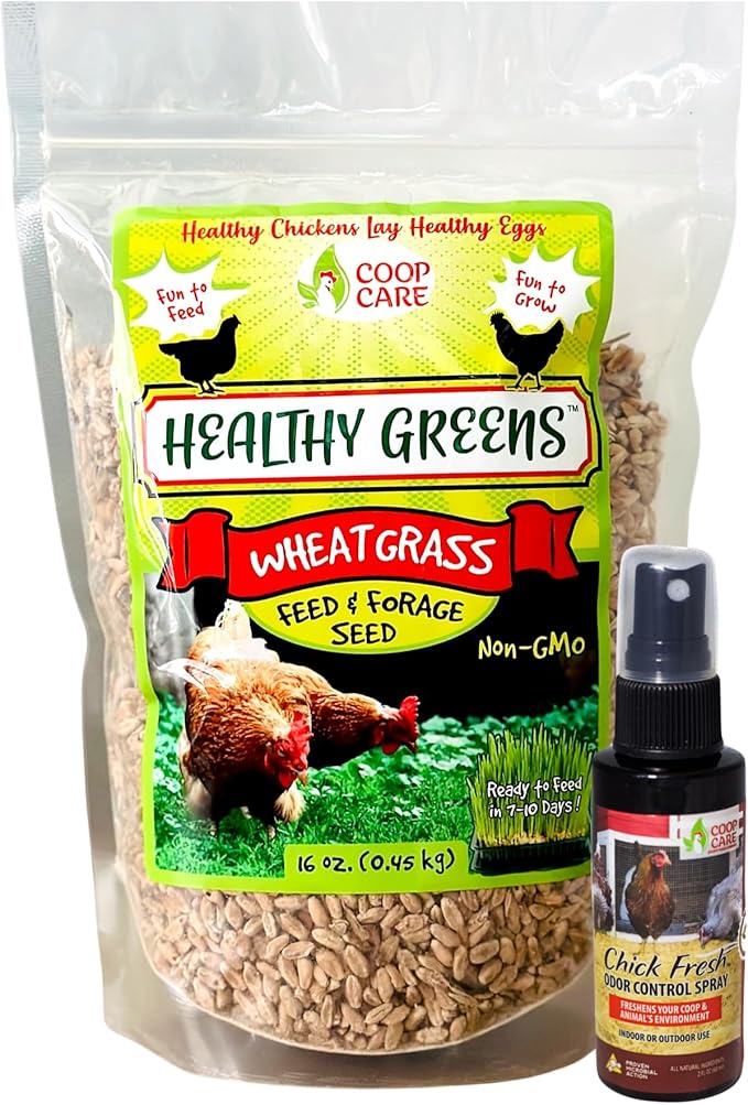 Healthy Greens Wheatgrass Scratch Feed & Fodder Seed, 1lb Bag. Premium Wheat Berries, Non-GMO Wheatgrass for Backyard Chickens, Plant Indoors/Outdoors. Also Ideal for Cats, Dogs w/Chick Fresh