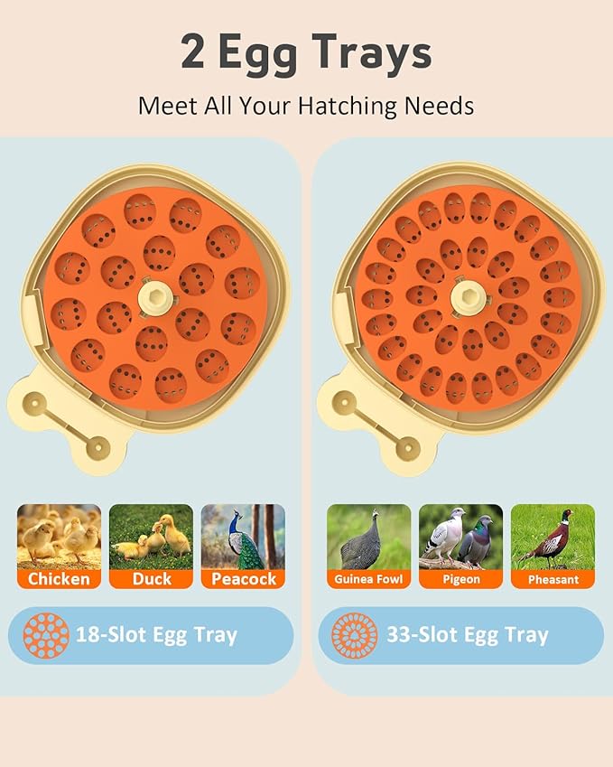 18-33 Egg Incubator for Hatching Eggs, Automatic Egg Turning, Egg Candler, Temperature/Humidity Control, Incubator for Hatching Chicken, Quail, Duck Eggs, 360° Clear View for Home, Classroom, Farm