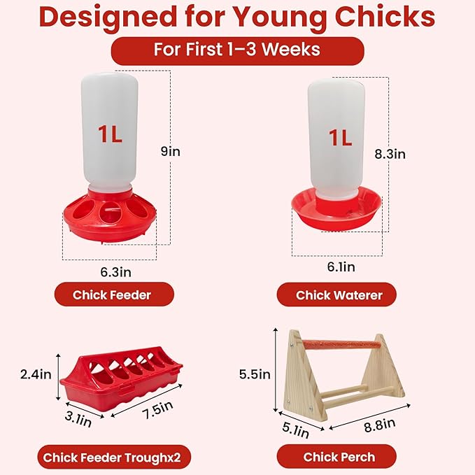 Chick Feeder & Waterer Starter Kit with 2 Trough Feeders and Roost Bar – No-Leak Baby Chick Waterer and Feeders Set for Chicks, Ducklings, Quail & Small Poultry – Essential Brooder Supplies