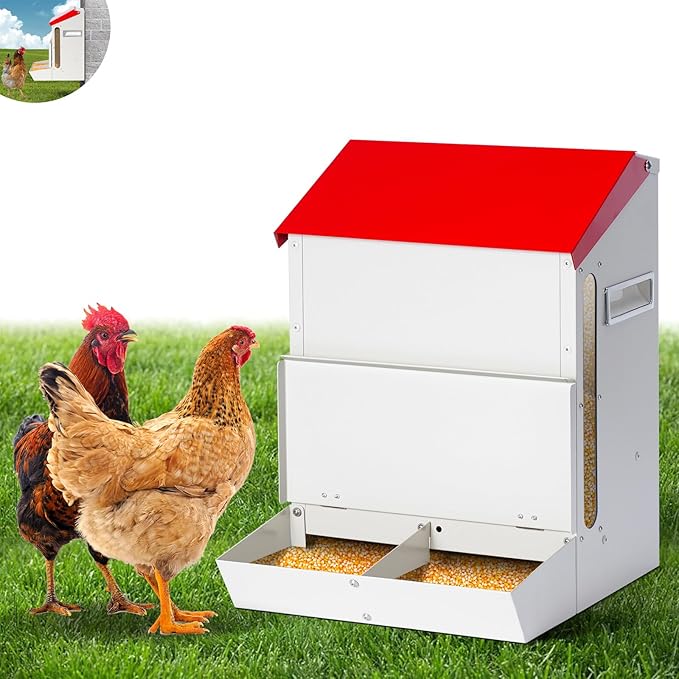 Galvanized Wall Mount Chicken Feeder No Waste Hanging Chicken Feeder with Lid Weatherproof Metal Automatic Poultry Feeder Trough Food Dispenser Mess Free for Duck Geese, Hens, Turkeys Coop