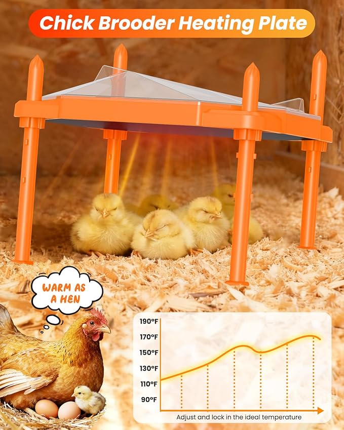 Chick Brooder Heating Plate, 14"x11"Adjustable Temperature & Height Heating Plate for Chicken with Anti-Roost Cone, Easy-Clean Poultry Coop Heater for Up to 18-22 Chicks (Orange)