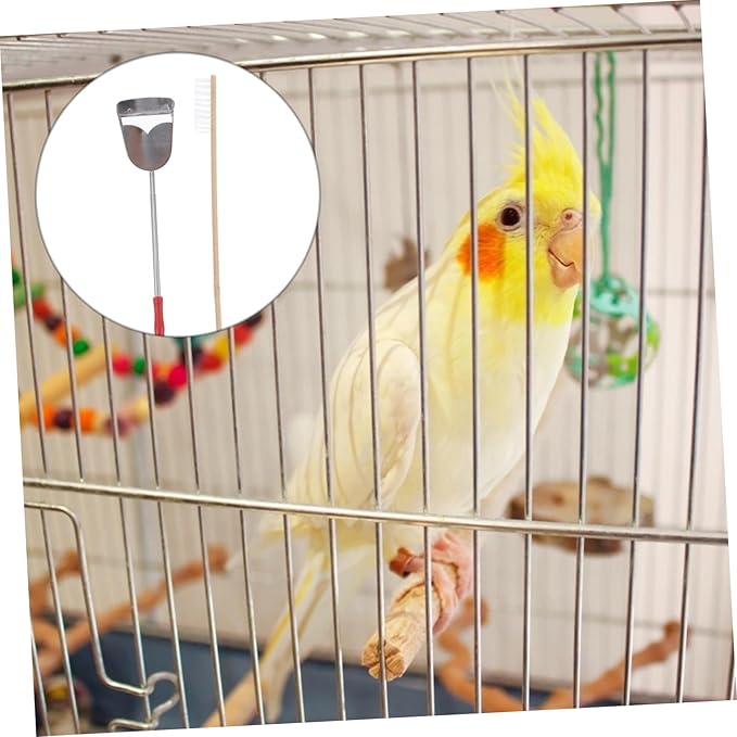 2pcs Bird Cage Cleaning Tools Set Brush Shovel for Parrot and Birds Efficient Waste Removal for Tidy Habitats Essential Pet Supplies