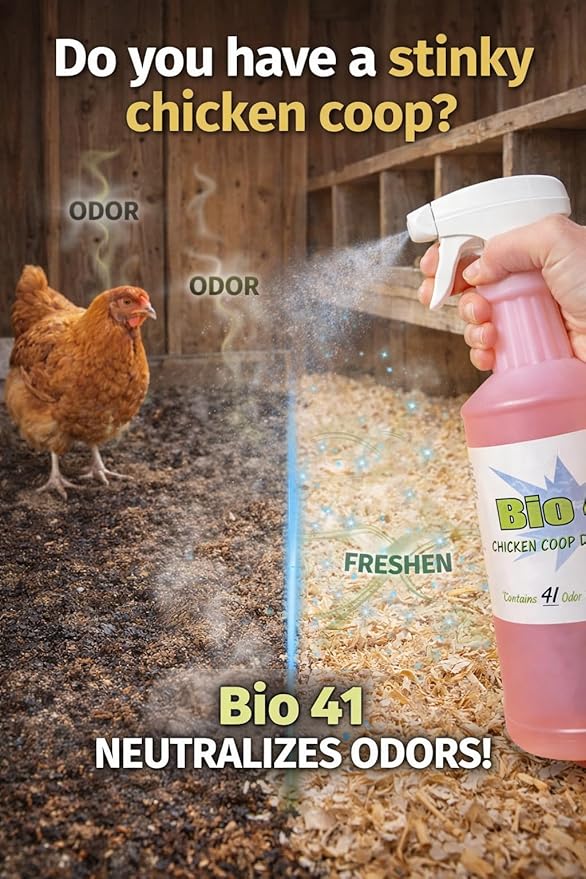 Chicken Coop Deodorizer – All Natural Ingredients for Ammonia Control and Odor Eliminator for Poultry – Works in Coops, Brooders, Next Boxes, Waste Areas, Roosting Area and Bedding – 32 Ounce Bottle