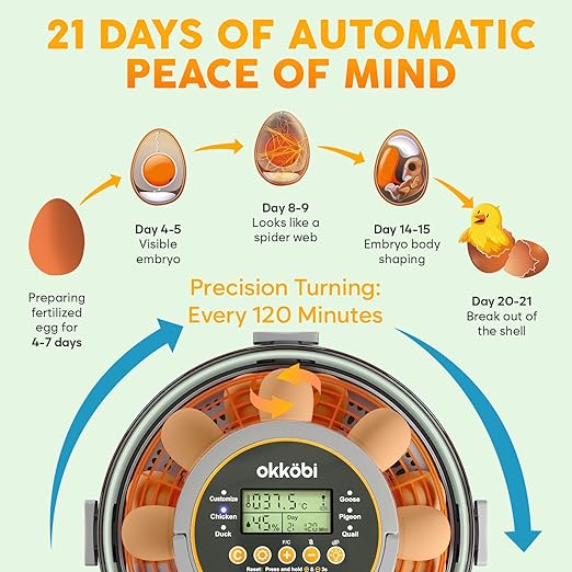 Egg Incubator with Automatic Egg Turning and Humidity Control – 12 or 20 Egg Incubator for Hatching Eggs – incubadora de huevos de gallina – Smart Temp Adjust – Candling Lamp