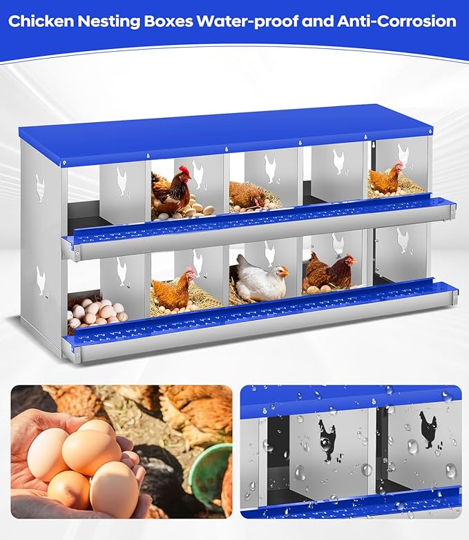 Chicken Nesting Box,10 Compartments Nesting Box for Chickens, Two-Tier Galvanized Metal Wall Mount Chicken Egg Laying Box with Large Vented Holes for Easy Egg Collection ﻿