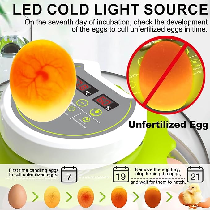 18/60 Egg Incubator with Humidity Display, Incubators for Hatching Eggs, Egg Candler, Automatic Egg Turner, Poultry Egg Incubator for Hatching Chicken Duck Goose Bird Quails- Green 2 Egg Trays