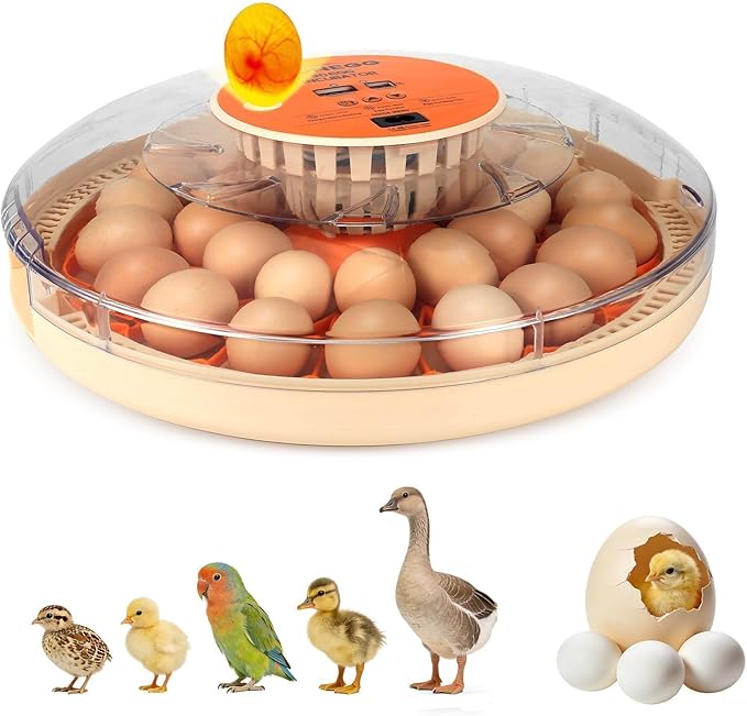 Serie II - 30 Egg Incubator for Experienced Hands-On Hatchers, Auto Egg Turn, Manual Humidity Control (Water Fill), Temperature Control, Real-Time Display, Egg Candler
