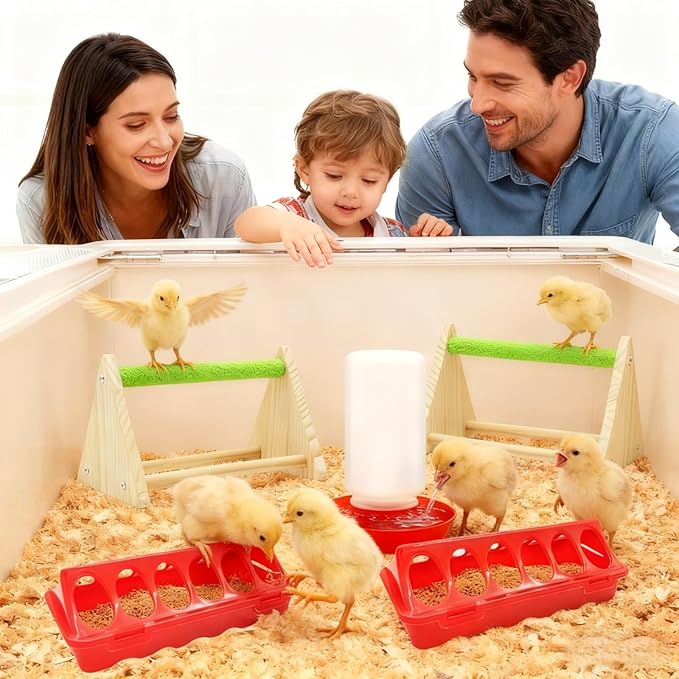 12-Hole No-Scratch & Spill-Proof Chick Feeder, Leak-Resistant Chick Waterer, and Poultry Waterer with Perches - Complete Brooder/Coop Starter Kit for Raising Poultry (Perch)