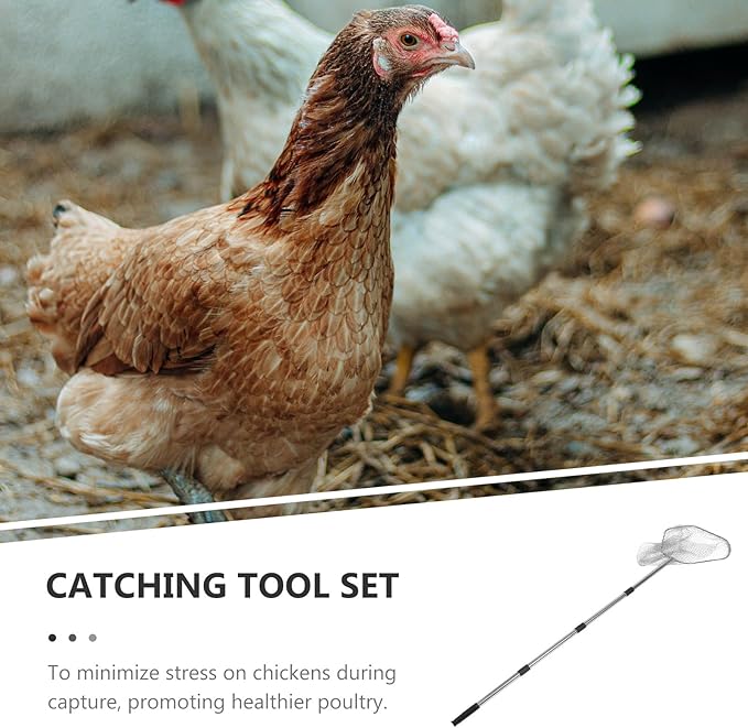 Hemoton Poultry Catching Net: Stainless Steel Chicken Net for Chickens Ducks Cats Dogs Fishnet Catcher Poultry Supplies