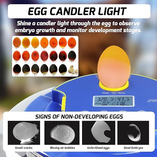 18 Egg Incubator with Automatic Egg Turning, Egg Candler, Automatic Water Bottle Refill, Eggs Incubators for Hatching Eggs Chickens Duck Quail Bird, Temp and Humidity Display