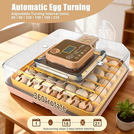 4th Gen - 48 Egg Fully Automatic Incubator, 2026 Upgraded Design, Intelligent Sensor-Based Humidity & Temp Control, Custom Days, Adjustable Auto Turning & Stop, Chick Separator, Flexible Egg Spacing