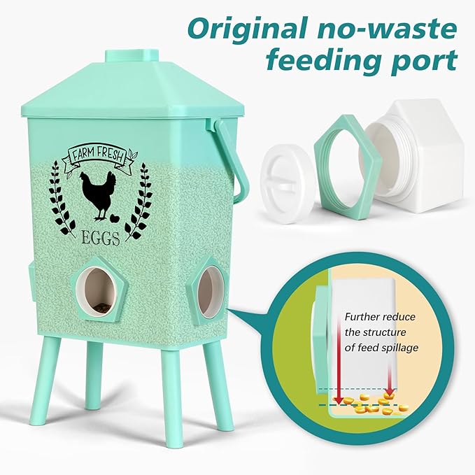 Tgeyd 4.2-Gallon Gravity Chicken Feeder & Waterer Set – No-Waste Poultry Feeder with Automatic Water Dispenser, Rainproof Lid, Raised Stand Legs & Anti-Roost Cone