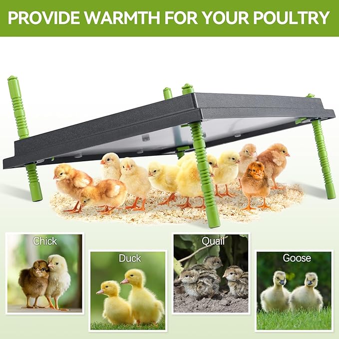 16"x22" Chick Brooder Heater Plate, Brooder Plate for Chicks with Adjustable Height & Temperature Display for Baby Chick Duck, 50W Constant Temperature Control Chick Warmer for Energy Saving
