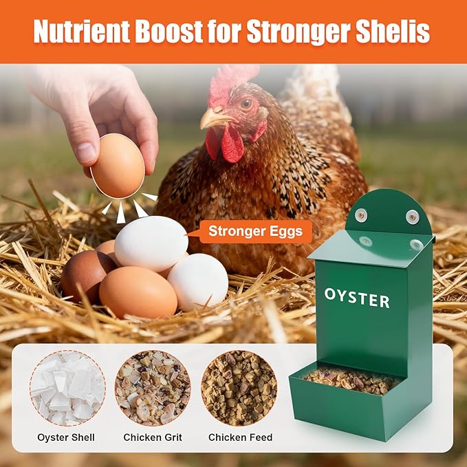 2Pack Chicken Grit and Oyster Shell Feeder,Heavy-Duty Metal Chicken Feeder with Lid Coop Accessories Supplies Hanging Gravity Poultry Feeders Trough for Strong Eggs