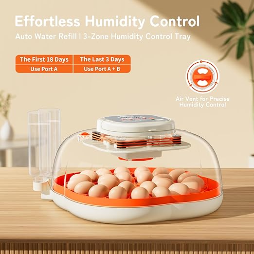 25 Egg Incubator, Extra-Large Interior with High Protective Wall, Top Carry Handle, Automatic Egg Turner, Preset Incubation Period, Auto Water Refill, for Chicken, Quail & Duck Eggs, APDOE HatchPro 25