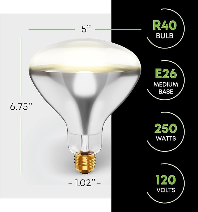 250R40/1 250-Watt, Incandescent R40 Reflector, Clear Head Lamp, Heat Flood Lamp Light Bulb, E26 Standard Medium Screw Base, 120V, 6,000 Hour Rated (Pack of 2-Clear-Heat Lamps)