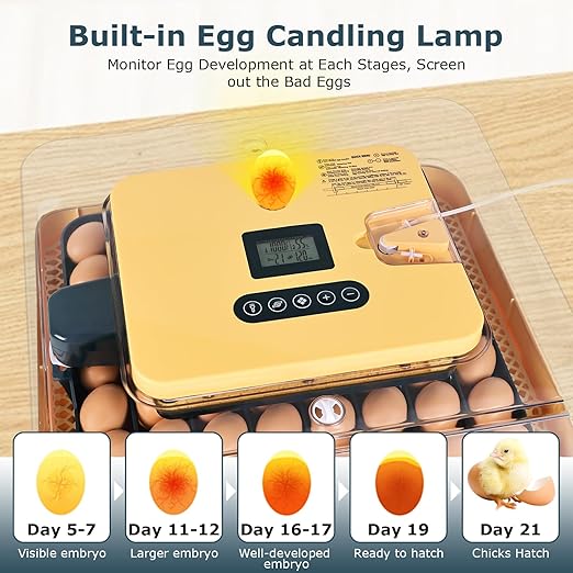 Incubators for Hatching Eggs, 56 Eggs Incubator with Egg Candler, Auto Egg Turner, Temp & Humidity Control, Hatch Day, 360° Viewing for Chicken, Duck, Quail Eggs, Ideal for Farm, School and Lab