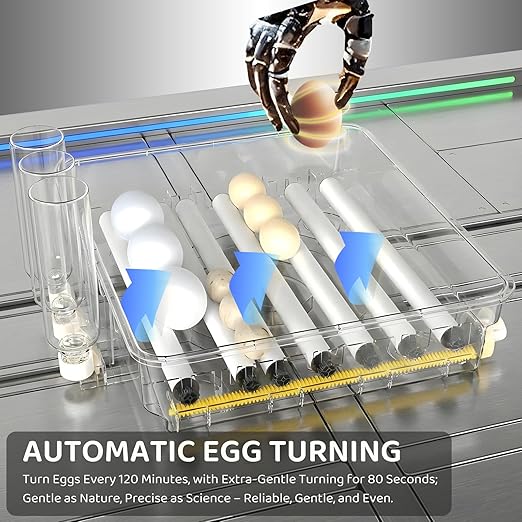 216 Egg Incubator for Hatching Eggs with Fully Automatic Egg Turning, Humidity Control by Bottles, Incubators for Chicken, Ducks, Quail, and Other Poultry Eggs, 360° View with Clear Window