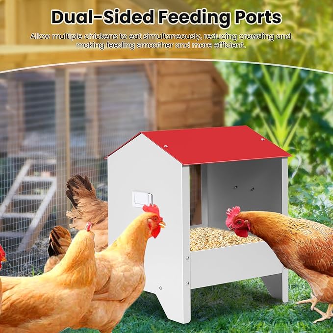 Metal Chicken Feeder with Weatherproof Lid Chicken Oyster Shell and Grit Feeder 10Lbs Poultry Feeding Trough for Hens, Ducks, Geese, Coop Accessories Supplies