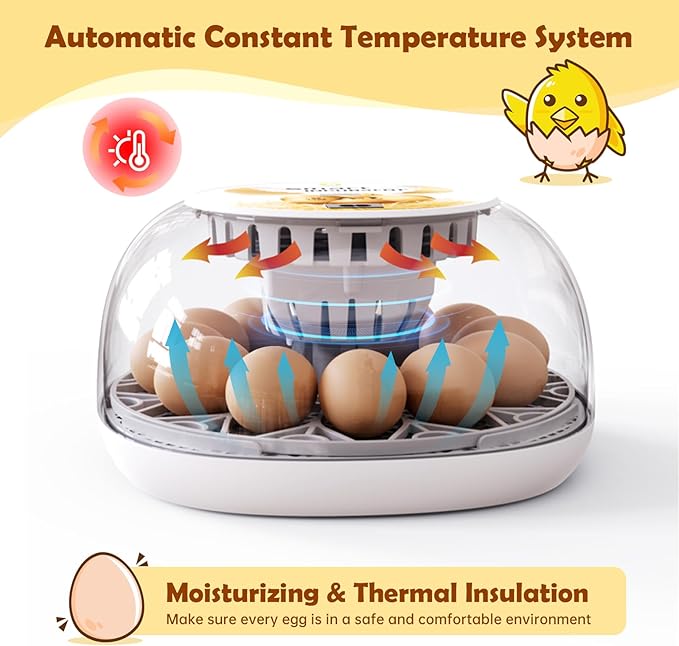 Egg Incubator for Hatching Chicks, Automatic Egg Turner Holds 12 Eggs, Smart Incubator 360° Clear Window with Temperature Display Egg Candler for Small Poultry Chickens Ducks Quails Eggs
