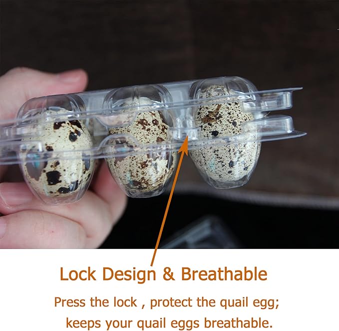 Plastic Quail Egg Cartons, 25 Pack, 12 Tray, Small Egg Display Container