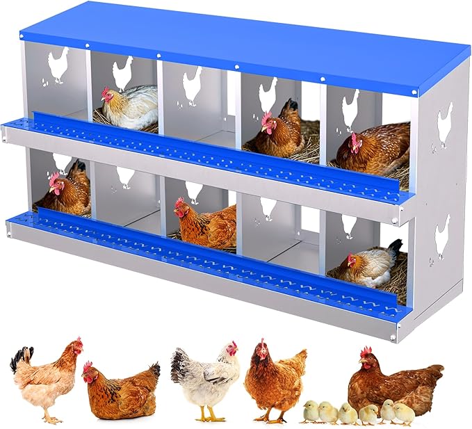 Chicken Nesting Box with Removable Tray, 10 Compartment Nesting Boxes for Chickens, Easy to Clean and Install, Durable Chicken Laying Boxes for Chicken Coop, Protects Eggs(Blue)