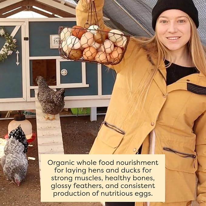 Scratch and Peck Feeds Whole Grain Layer Crumbles Chicken and Duck Feed - 25 lbs Bag - Corn-Free and Soy-Free - 16% Protein, Certified Organic and Non-GMO Project Verified Chicken Food