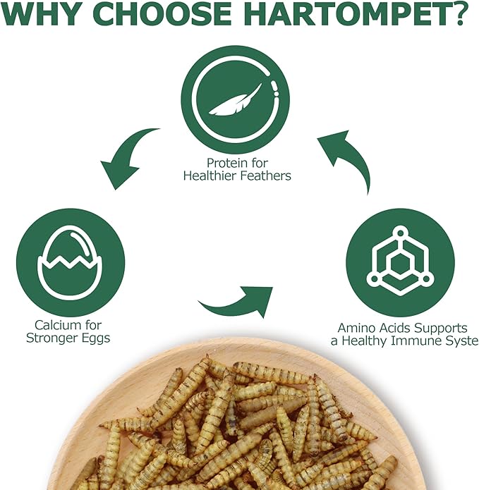 Dried Black Soldier Fly Larvae for Chickens - Non-GMO Poultry Feed Supplement, 85X More Calcium Than Mealworms, 10LB BSF Worms Perfect for Molting & Laying Hens, Ducks & Wild Birds