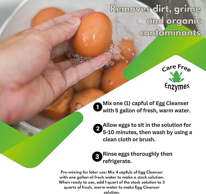 CareFree Enzymes Egg Washer & Egg Cleaner — Natural Enzyme Egg Wash for Fresh Farm Eggs, Safe for Backyard Chickens & Homesteads, 33.9 oz