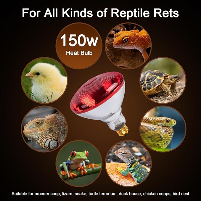 Infrared Heat Lamp for Chickens, 150 Watts Red Heat Lamp Bulb, Heat Light Bulb for Brooder Coop, Food Service, Chicks, Pet, Reptile, 2 Pack