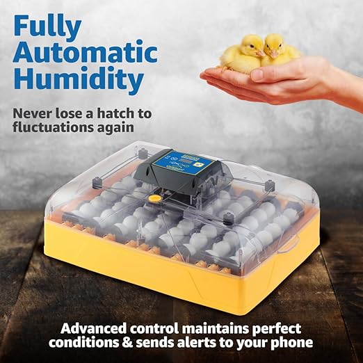 Brinsea Ovation 56 EX Connect App Controlled Egg Incubator with Automatic Egg Turning and Humidity Control for Hatching 56 Chicken, Duck, Other Eggs, Precision App-Driven Digital Controls and Alarms