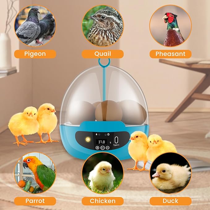 Egg Incubator with 360° Auto Egg Turning and Temperature Control Practical Incubator Smart Egg Incubator for Hatching 6 Eggs Chicken Incubator with LED Egg Light for Hatching Chicks Quails Ducks