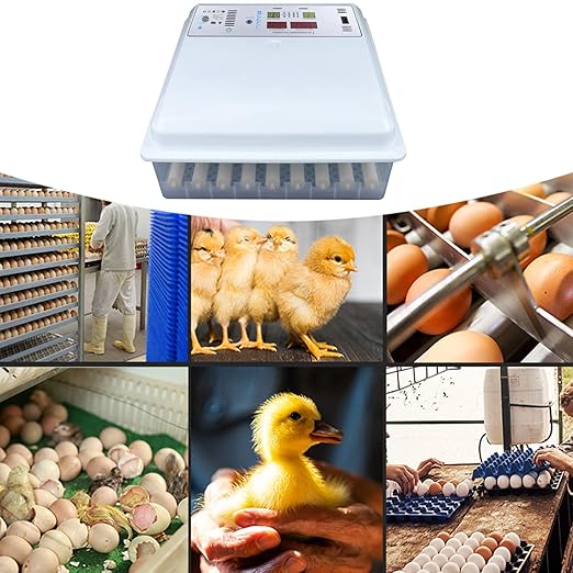 Eggs Incubator, 64 Eggs LCD Digital Automatic Incubator with Egg Turning and High-Temp Alarm, Double Power Supply Household Mini Incubator Box for Chickens Ducks Goose Birds