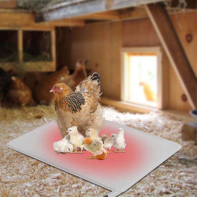 Chicken Heating Pad with Adjustable Digital Thermostat, Electric Chicken Heated Mat with Chew Resistant Cord, Waterproof Outdoor Chicken Coop Heater for Baby Chicks, Brooder Heater Warming Pad, White