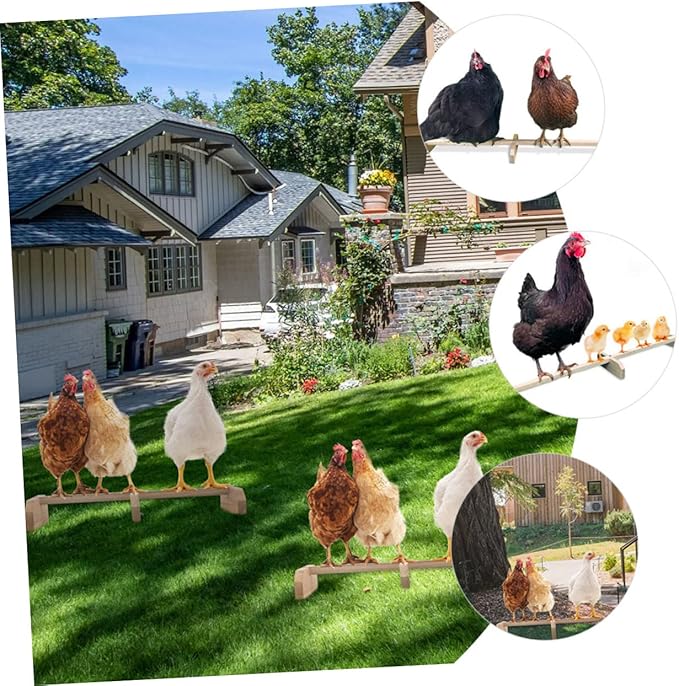 BESPORTBLE Wooden Chicken Roosting Bar Natural Bird Perch Stand for Pet Parrots and Hens Safe Breeds and Ages Coop Perch to Attract and Entertain Pets
