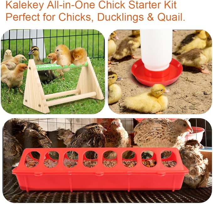 6PCS Chick Feeder and Waterer Set with Perch, 2 Feeders & 50 Chicken Leg Bands, Poultry Starter Kit for Baby Chicks, Ducks, Quail (0.3 Gal Waterer, 2.2Lb Feeder)