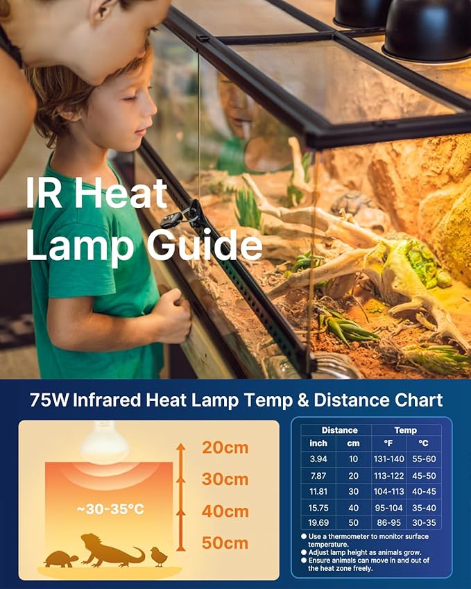 FLSNT 2 Pack Reptile Heat Lamp Bulbs, 75W Basking Light for Amphibian, Bearded Dragon, Lizard, Tortoise, Gecko