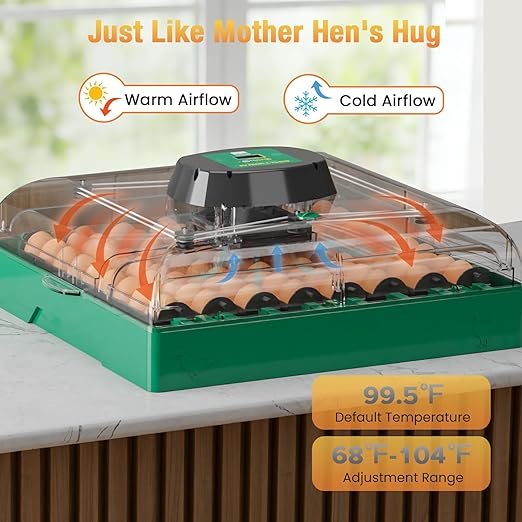 Egg Incubator for Chicken Eggs, 72 Egg Large Capacity with Automatic Egg Turner and Humidity Control, Egg Hatching Incubator for Chicken, Quail, Duck & Geese with Built-in Candler for Farm & Classroom