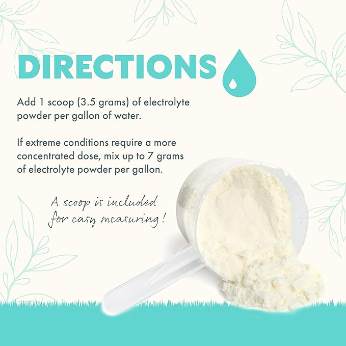 Fresh Eggs Daily Poultry Electrolyte Powder - Hydration Support Drink Mix with Probiotics for Chickens & Ducks - Natural Supplement for Environmental Challenges, Immune Health & Egg Quality - 8 Oz