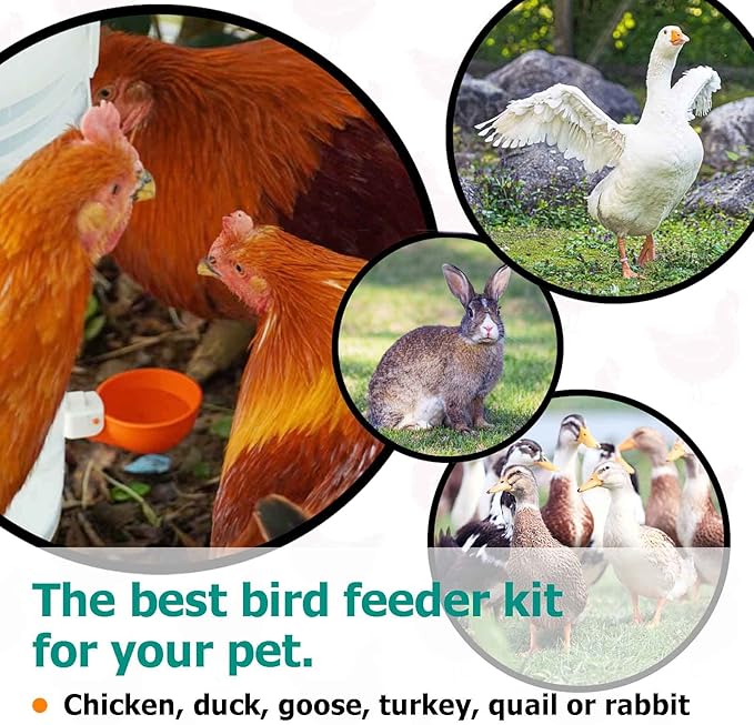 Large Automatic Chicken Waterer Cups, Chicken Water Feeder Suitable for Chicks, Duck, Goose, Turkey and Bunny, DIY Poultry Water Feeder Kit (5 Pack-Green)