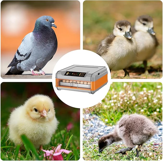 Automatic Incubator, Egg Incubator, with Automatic Temperature and Humidity Control Incubators for Hatching Eggs,192Eggs,128Eggs