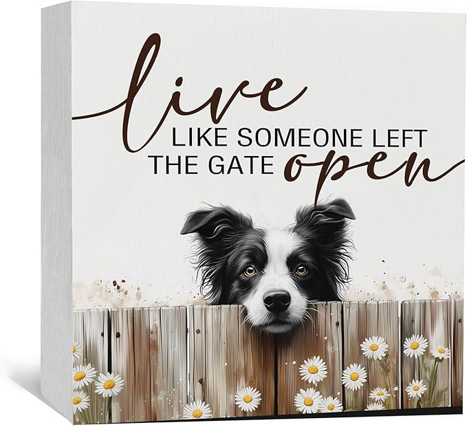 Border Collie Signs - Farm Cottagecore Animal Office Kitchen Bedroom Decor,Rustic Farmhouse Live like Someone Left the Gate Open Home Decor Wooden Signs,Border Collie Gifts for Women,6x6