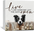 Border Collie Signs - Farm Cottagecore Animal Office Kitchen Bedroom Decor,Rustic Farmhouse Live like Someone Left the Gate Open Home Decor Wooden Signs,Border Collie Gifts for Women,6x6